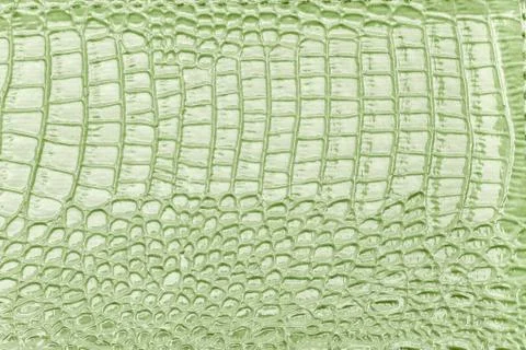 Light green leather texture background, closeup. Reptile skin, macro. Foto stock