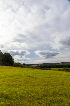 Light green meadow in spring Stock Photos