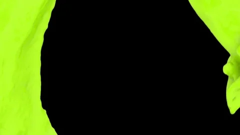 Light green paint flowing in circular motion, on black (FULL HD) Video stock 72988747