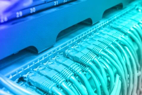 Light green patch cord internet cables connected Stock Photos