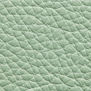 Light Green Pebble Leather Texture Background Macro Stock Photos