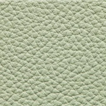 Light green pebbled leather texture background surface Stock Photos