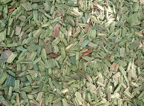 Light green rectangular large sawdust in the sun's rays Stock Photos