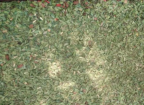 Light green rectangular small sawdust interspersed with fir cones Stock Photos