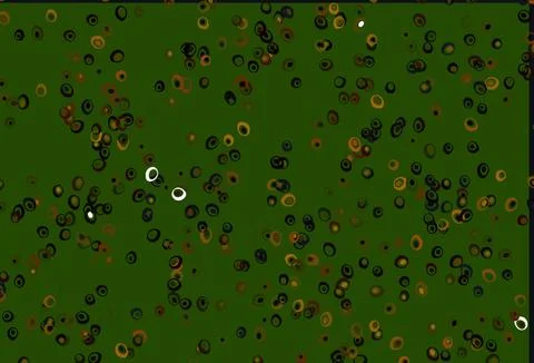 Light Green, Red vector layout with circle shapes. 스톡 일러스트
