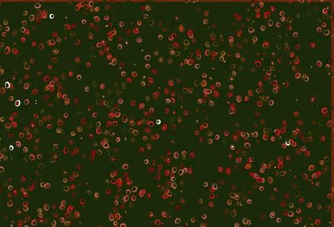 Light Green, Red vector pattern with spheres. Illustrazione stock