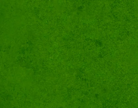 Light green texture background backdrop for graphic design Stock Photos