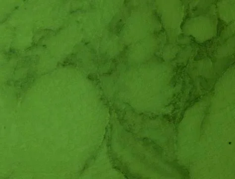 Light green texture background backdrop for graphic design Stock Photos