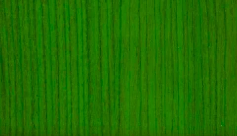 Light green texture background backdrop for graphic design Stock Photos