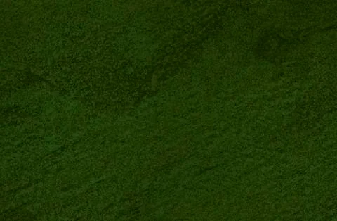 Light green texture background backdrop for graphic design Foto stock