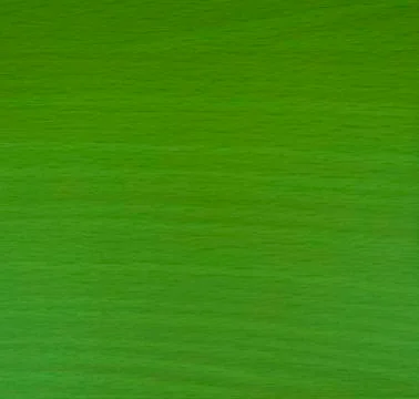 Light green texture background backdrop for graphic design Stock Photos