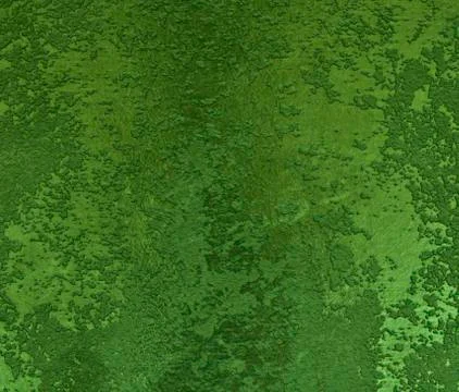 Light green texture background backdrop for graphic design Stock Photos