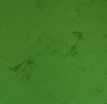 Light green texture background backdrop for graphic design Stock Photos