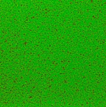 Light green texture background backdrop for graphic design Stock Photos