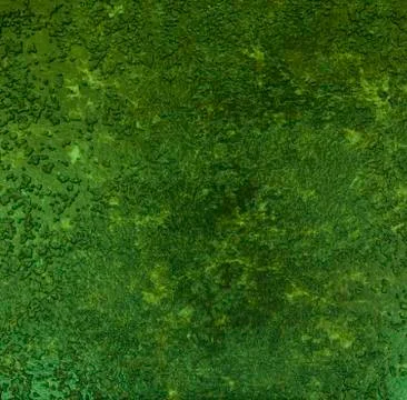 Light green texture background backdrop for graphic design Stock Photos