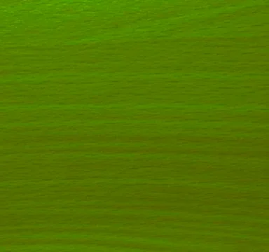 Light green texture background backdrop for graphic design Stock Photos
