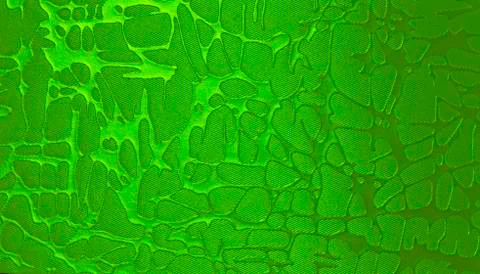 Light green texture background backdrop for graphic design Stock Photos