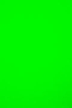 Light green texture background for graphic design Stock Photos