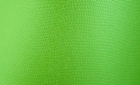 Light green texture background for graphic design Stock Photos
