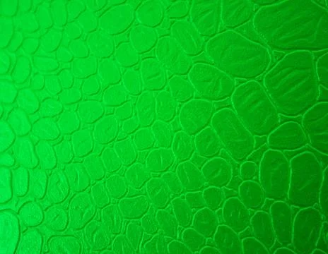 Light green texture background for graphic design Stock Photos