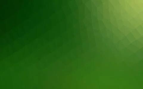 Light Green vector abstract polygonal layout. 스톡 일러스트