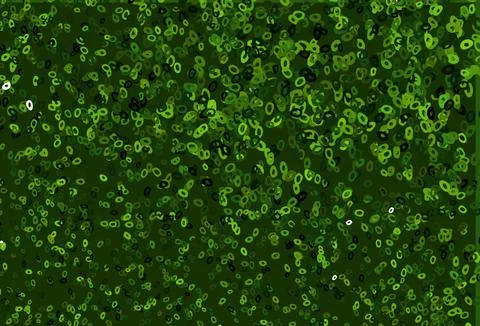 Light Green vector backdrop with dots. Stock Illustration