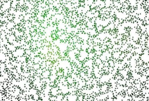 Light Green vector background with bubbles. Illustrazione stock