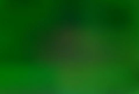 Light Green vector bokeh and colorful pattern. Illustrazione stock