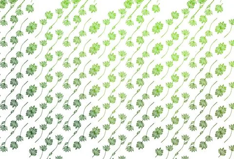 Light Green vector doodle backdrop. Stock Illustration