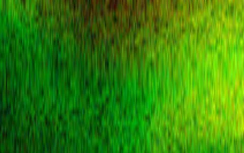 Light Green vector pattern with narrow lines. 스톡 일러스트