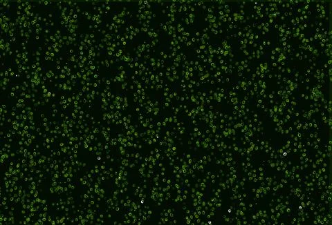 Light Green vector pattern with spheres. Illustrazione stock