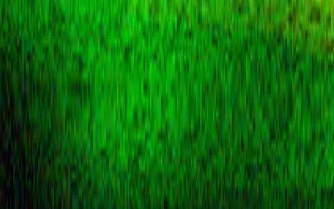 Light Green vector texture with colored lines. Stock-Illustration