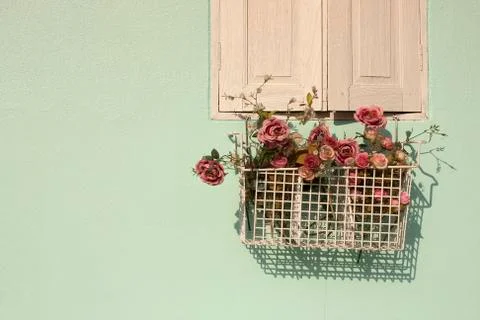 Light green wall Stock Photos