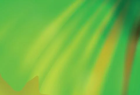 Light Green, Yellow vector glossy abstract background. Stock Illustration