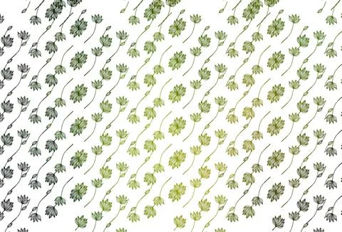 Light Green, Yellow vector hand painted pattern. Illustrazione stock