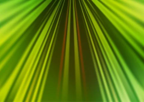 Light Green, Yellow vector pattern with narrow lines. Stock Illustration