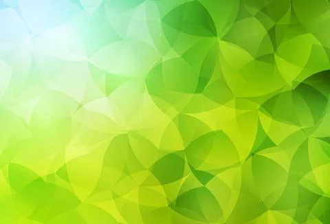 Light Green, Yellow vector pattern with random forms. 库存插图