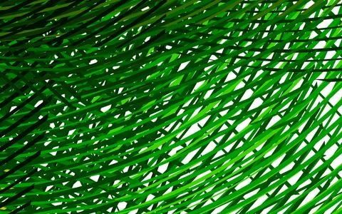 Light Green, Yellow vector texture with bent lines. Stock Illustration