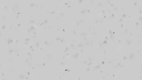 Light grey background with soft falling snowflakes motion effect Vidéo 346243621
