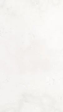 Light grey color layout on solid sheet of wallpaper 库存插图