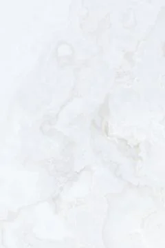 Light grey color layout on solid sheet of wallpaper 库存插图