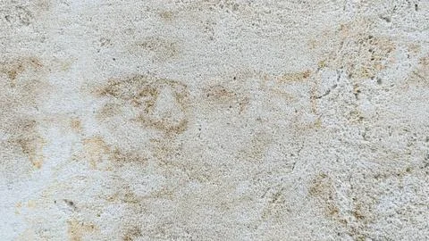 Light grey concrete surface texture with subtle sand pattern Stock Photos