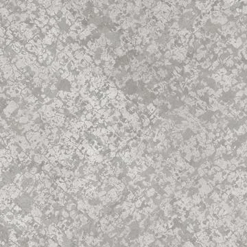 Light grey Concrete Texture Background with Subtle Industrial Finish 写真素材