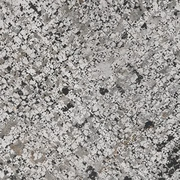 Light grey Concrete Texture Background with Subtle Industrial Finish 库存照片