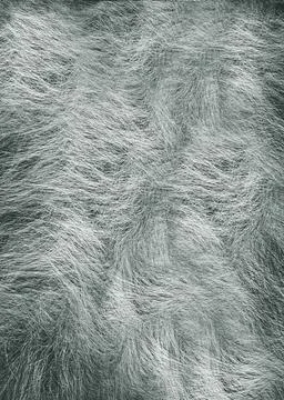 Light grey fur background texture creating wavy pattern Stock Photos
