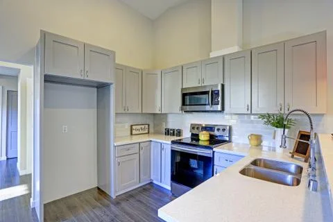 Light grey kitchen room interior with vaulted ceiling, grey cabinetry and sta Stock Photos