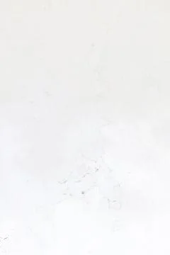 Light grey layout on solid sheet of wallpaper Stockillustratie