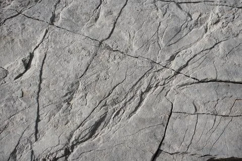 Light grey rock texture background with cracked surface Stock Photos