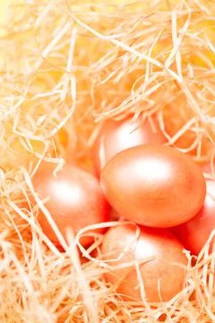 Light happy easter background, pearl pink colored eggs in hay nest close-up Stock Photos