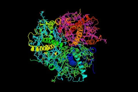 Light-harvesting complex, an array of protein and chlorophyll molecules fou.. Stock Illustration